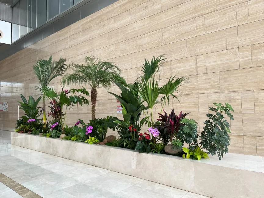 宁波奉化植物租摆哪家好 宁波奉化植物租摆哪家好